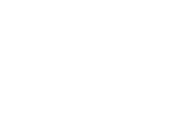 Vivier